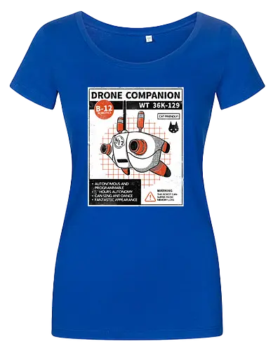 Drone companion