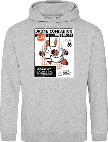 Drone companion