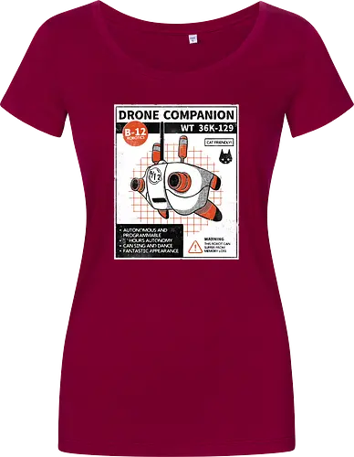 Drone companion