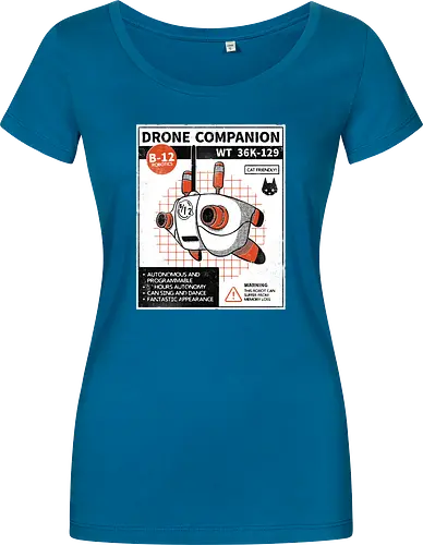 Drone companion