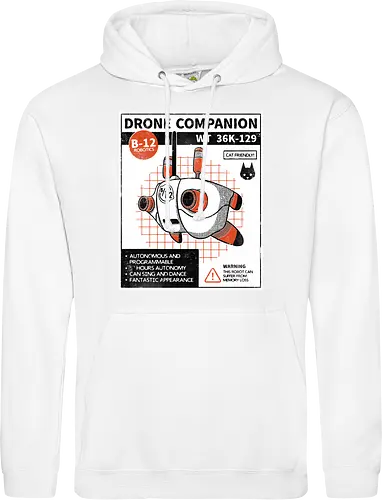 Drone companion