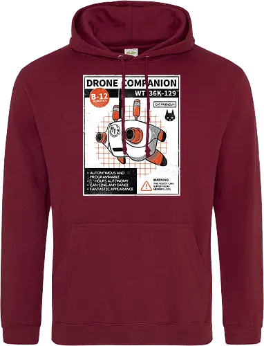 Drone companion
