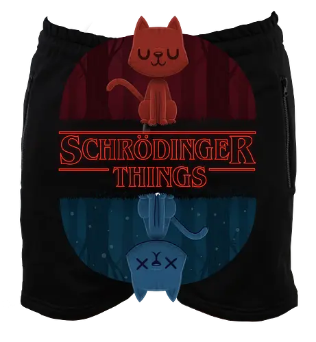Schrödinger Things