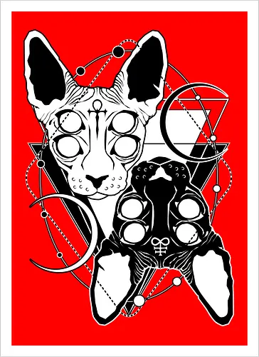 Duality