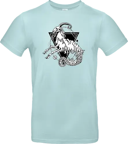 Capricorn