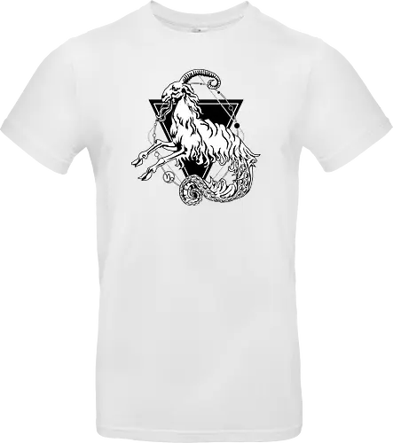 Capricorn