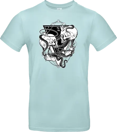 Gemini