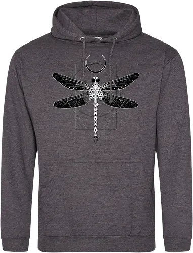 Magical Cosmic Dragonfly