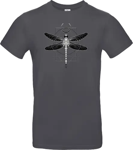 Magical Cosmic Dragonfly