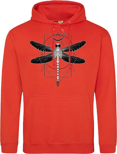 Magical Cosmic Dragonfly
