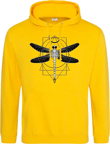 Magical Cosmic Dragonfly