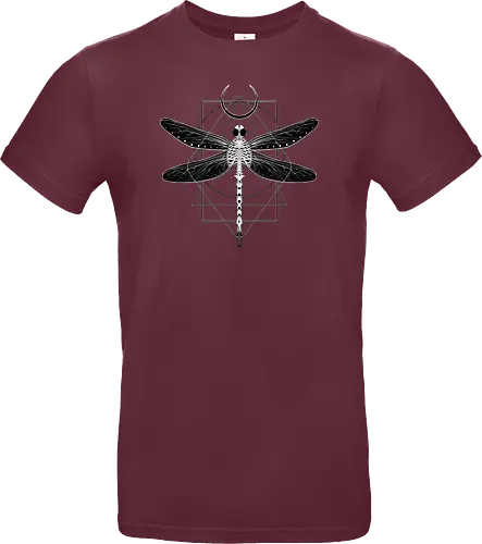 Magical Cosmic Dragonfly