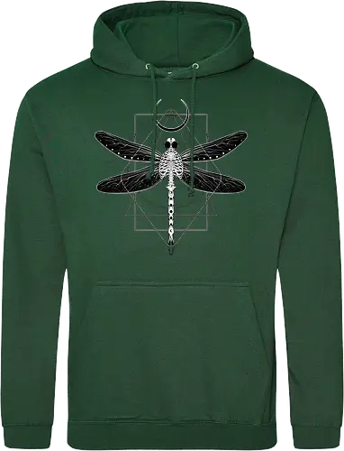 Magical Cosmic Dragonfly