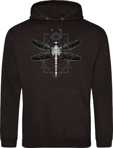 Magical Cosmic Dragonfly