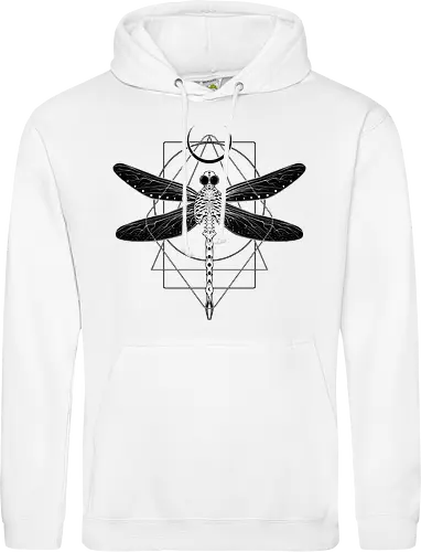 Magical Cosmic Dragonfly