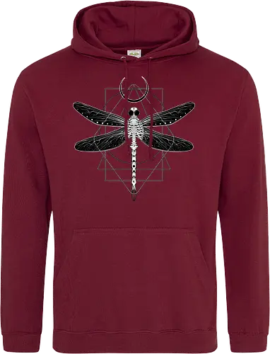 Magical Cosmic Dragonfly
