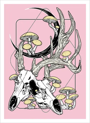 Oh Deer!