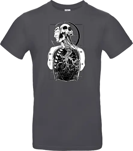 Atypical Anatomy
