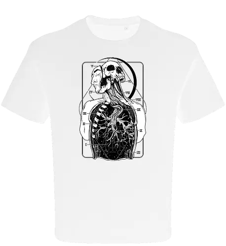 Atypical Anatomy