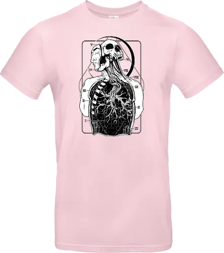 Atypical Anatomy