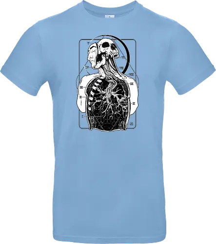Atypical Anatomy