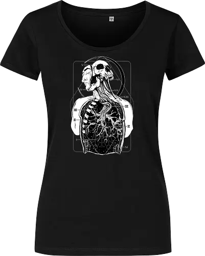 Atypical Anatomy