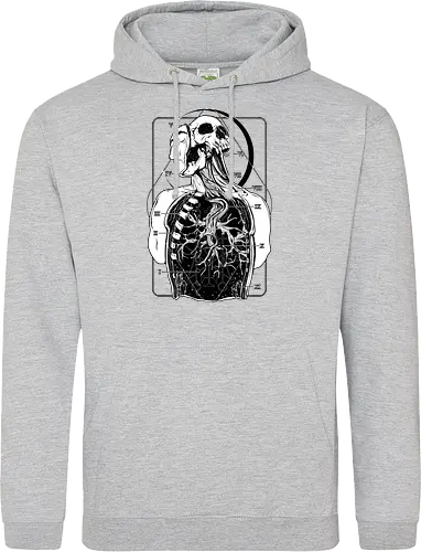Atypical Anatomy