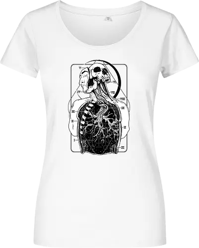Atypical Anatomy