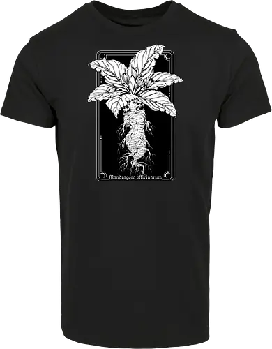 Mandragora Officinarum - The Scream of Death