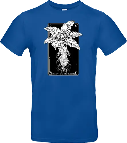 Mandragora Officinarum - The Scream of Death