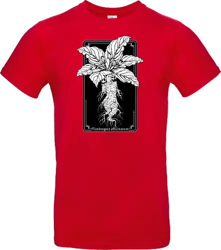 Mandragora Officinarum - The Scream of Death