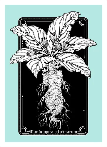 Mandragora Officinarum - The Scream of Death