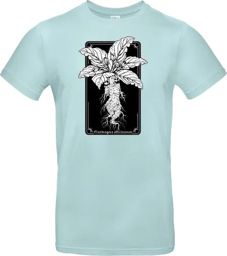 Mandragora Officinarum - The Scream of Death