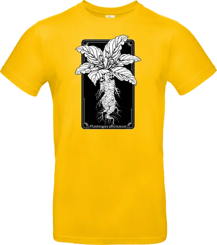 Mandragora Officinarum - The Scream of Death
