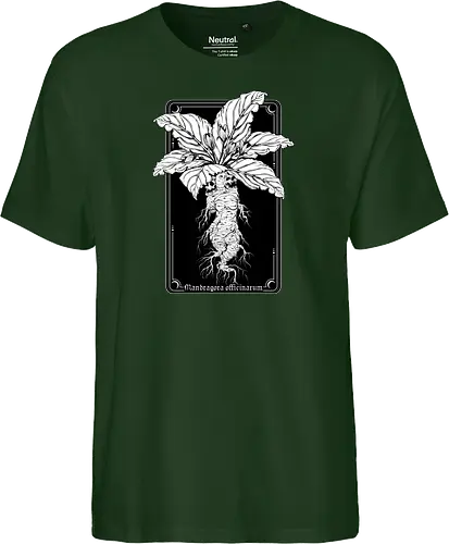 Mandragora Officinarum - The Scream of Death