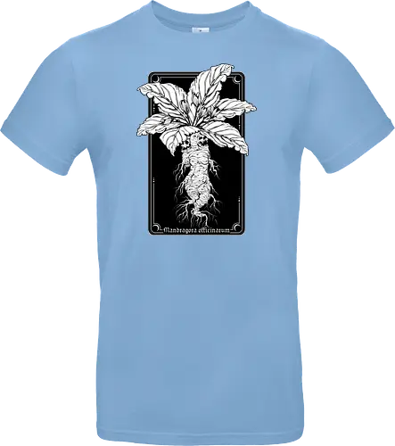 Mandragora Officinarum - The Scream of Death