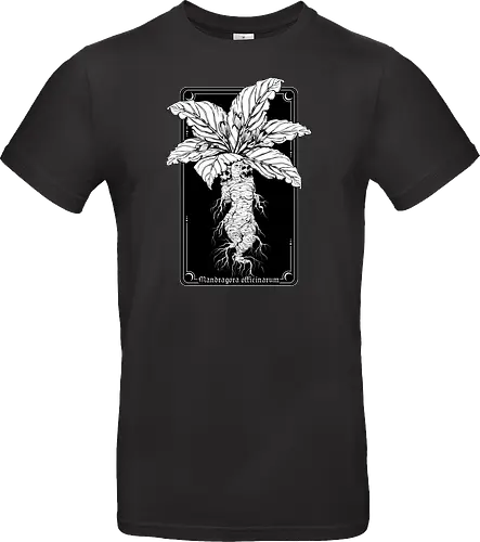 Mandragora Officinarum - The Scream of Death
