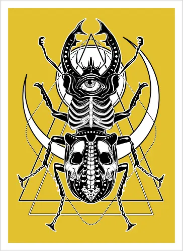 Beetle Gaze