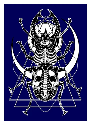 Beetle Gaze