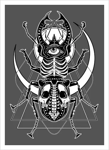 Beetle Gaze