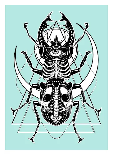 Beetle Gaze