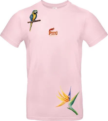  PITÚ - Paradise