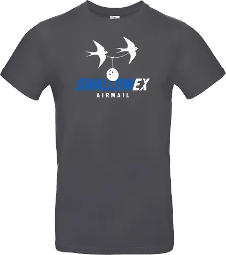 SWALLOW EX Airmail