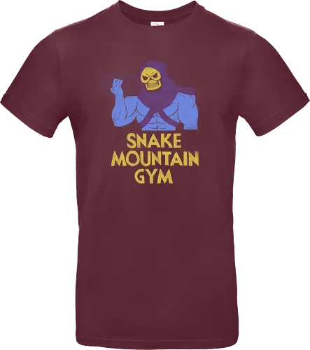 Snake Mountain Gym