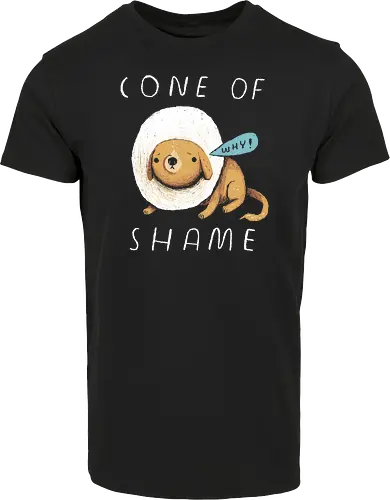 Cone of Shame