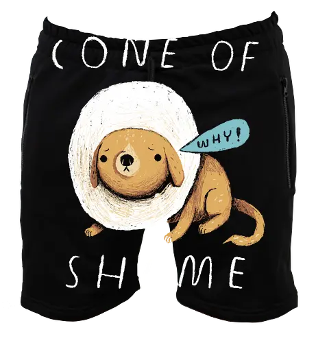 Cone of Shame