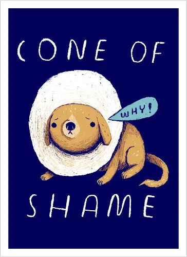 Cone of Shame