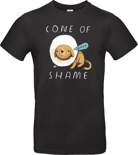 Cone of Shame