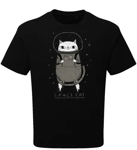 Space Cat