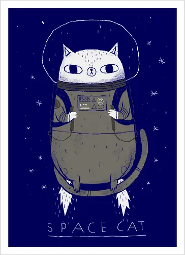 Space Cat